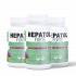 Hepatol Forte  (30cps) (2+1) paket