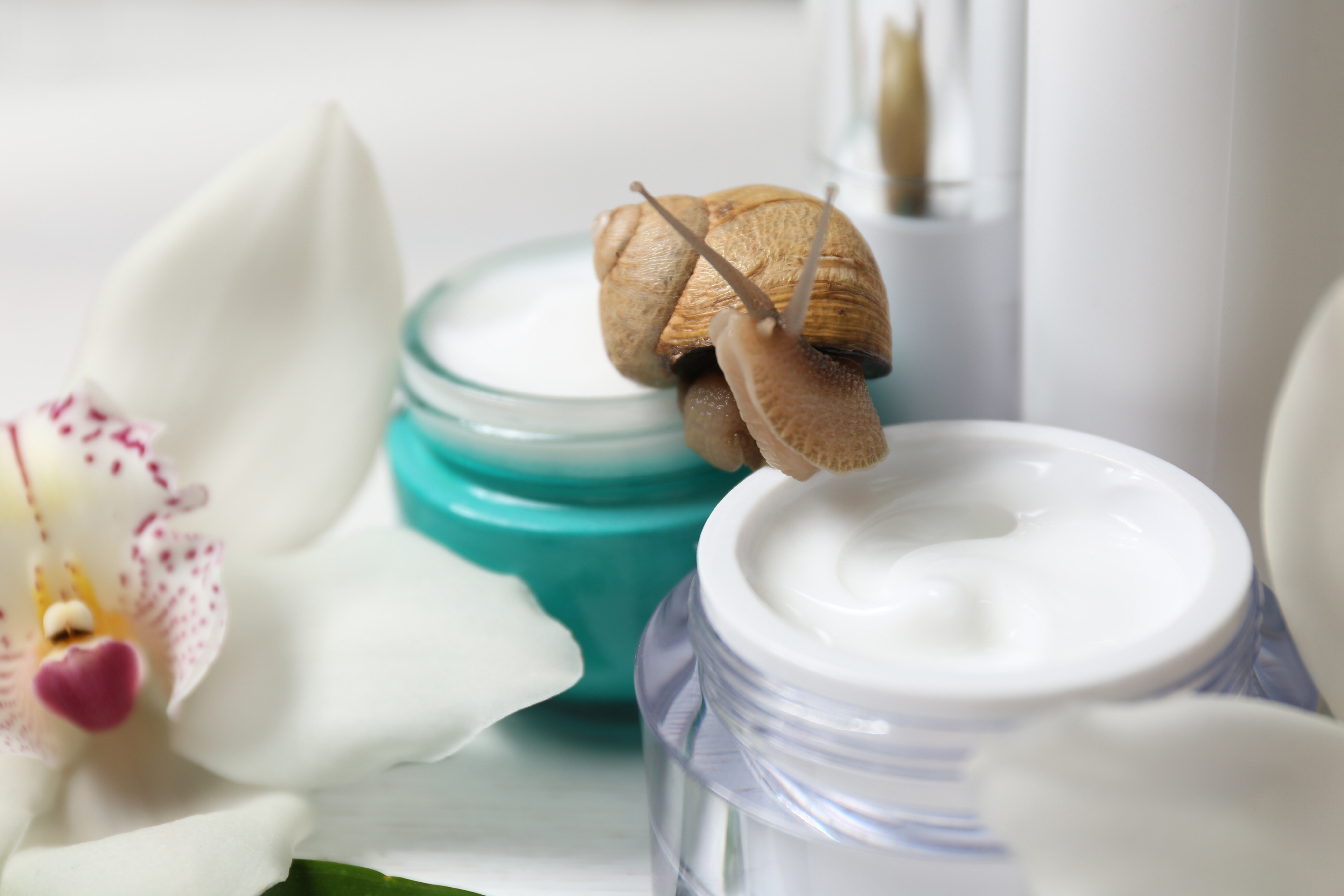 Product image from Natura Therapy